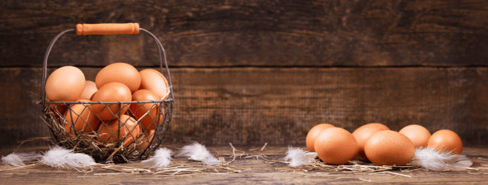 Are eggs safe to eat?