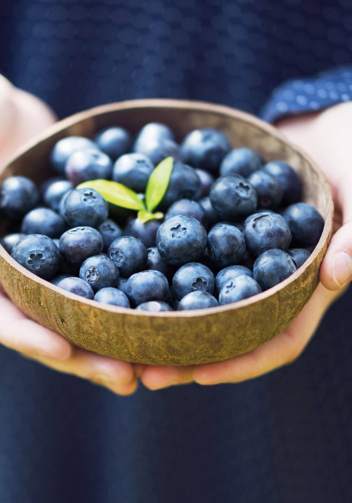 Bowl of blueberries to represent Van Buren and Cass counties agricultural environment.