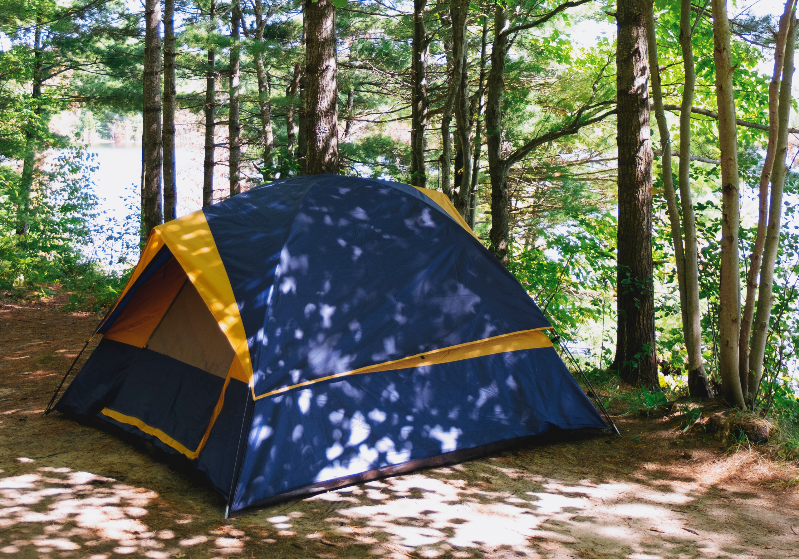 Blue tent pitched in between trees with lake in background