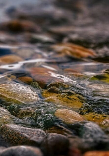 River Rocks in Michigan